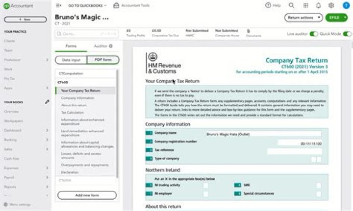Can I file my own accounts with HMRC?