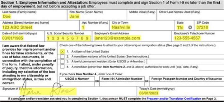 How do you fill out employment history?