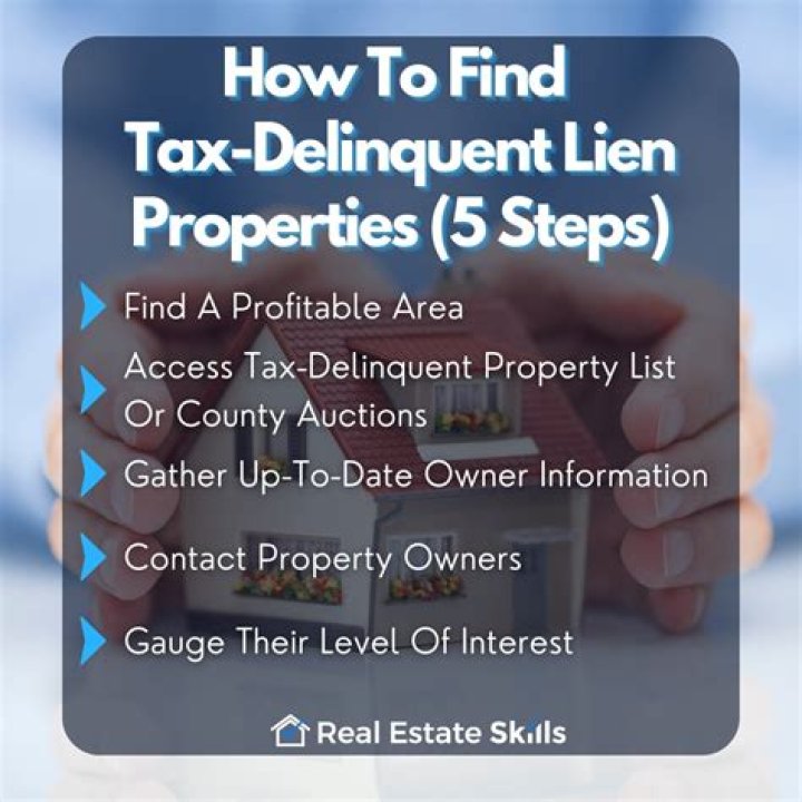 How does a tax lien invest in property?