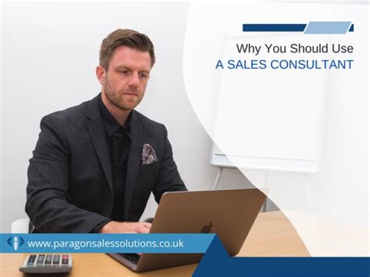 What does a small business sales consultant do?