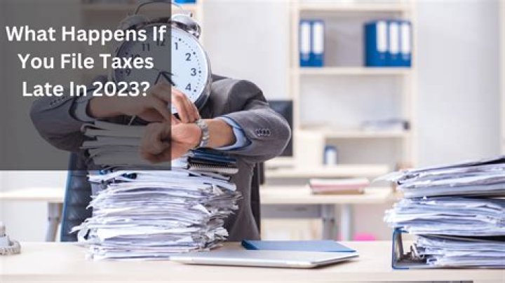 What happens if I file my taxes twice by accident?