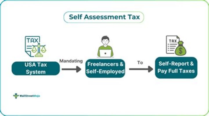 What is Self Assessment use tax?